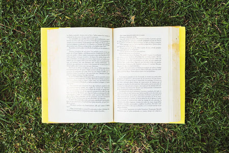 12 lecturas boricuas para terminar tu verano-Libros787.com