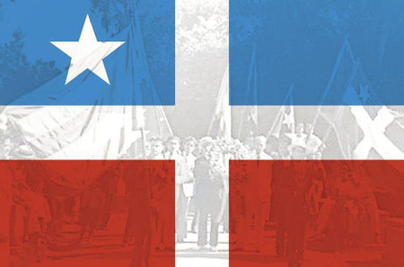 El Grito de aciertos y desaciertos-Libros787.com