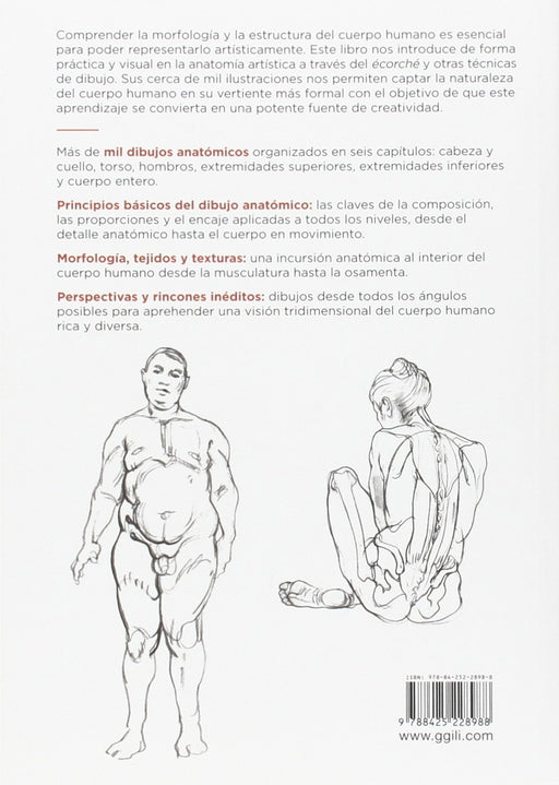 Anatomía Artística