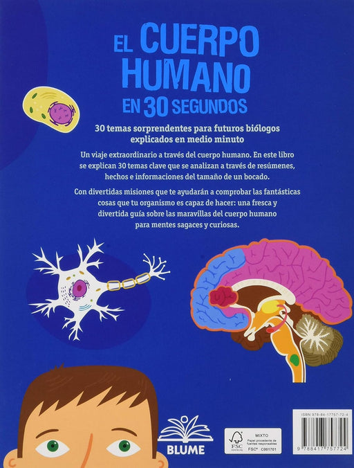 El cuerpo humano en 30 segundos