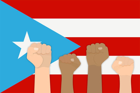 Un pueblo, muchas voces: La parada puertorriqueña en Nueva York-Libros787.com