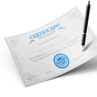 Jibarito de la Cajita (Set con peluche)