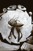 La Metamorfosis (Pocket)