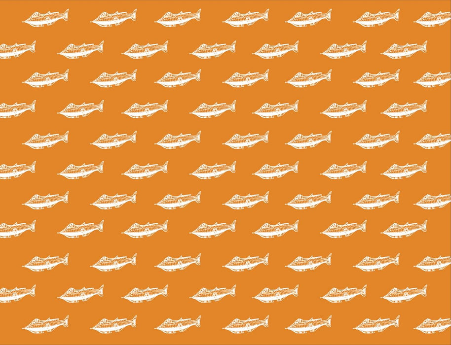 Novelas Escogidas - Julio Verne