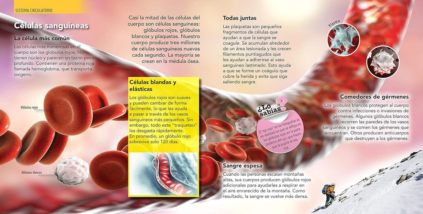 Enciclopedia Infantil del Cuerpo Humano