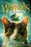 Warriors: Changing Skies #4: Guiding Light