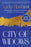 City of Widows: A Novel (Large Print)