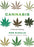 Cannabis: A Natural History
