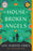The House of Broken Angels
