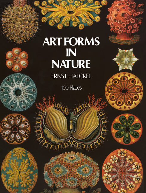 Art Forms in Nature