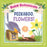 Baby Botanicals: Peekaboo, Flowers!