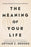 The Meaning of Your Life: Finding Purpose in an Age of Emptiness