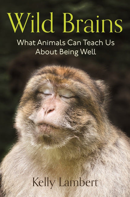 Wild Brains: What Animals Can Teach Us about Being Well