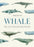 Whale: The Illustrated Biography