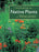 Landscaping with Native Plants of Wisconsin