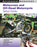 Motocross and Off-Road Motorcycle Setup Guide
