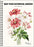 New York Botanical Garden 2027 Planner Calendar