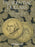 H.E. Harris(r) Coin Folder - Presidential Dollars Collection #1: 2007-2011: P