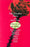 The Garden Party: And Other Plays
