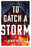 To Catch a Storm