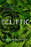 The Ecliptic