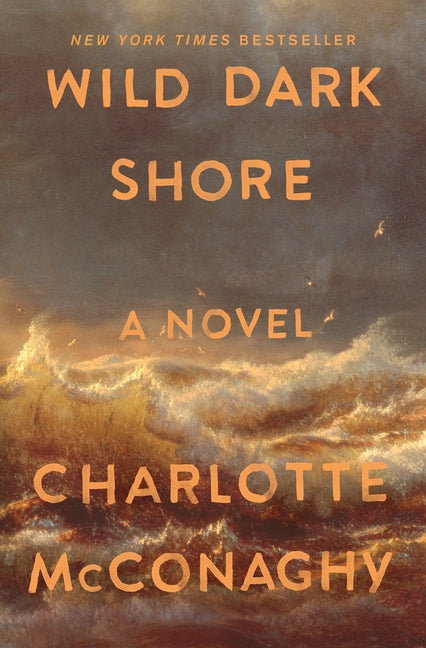 Wild Dark Shore: Reese's Book Club Pick (a Novel)