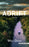 Adrift