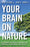 Your Brain On Nature