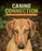 Canine Connection: How Dogs and Humans Evolved Together