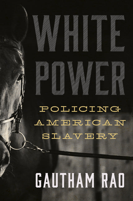White Power: Policing American Slavery