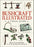 Bushcraft Illustrated: A Visual Guide