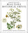 Instant Wall Art: Beautiful Botanical Prints: Ready-To-Frame Vintage Illustrations