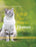 I Will See You in Heaven: Cat Lover's Edition