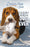 Chicken Soup for the Soul: Best Dog Ever