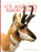 Los Antilopes Americanos