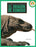 El Dragón de Komodo