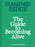 Flamingo Estate: The Guide to Becoming Alive