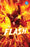 Absolute Flash Vol. 1: Of Two Worlds