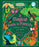 A Magical Guide to Forests: Folklore, History and Spells
