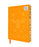 Nina Pace Set of 3 Mini Craft Notebooks