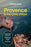 Lonely Planet Provence & the Cote d'Azur: Plan the Trip of a Lifetime Detailed Itineraries & Maps Insider Tips Covers Cote d'Azur & Monaco, the Var, B