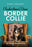 Understand Your Border Collie: A Breed-Specific Training Approach for Perfect Pet Behaviour