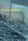 Forensic Architecture: Violence at the Threshold of Detectability