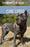 The Complete Guide to the Cane Corso: Selecting, Raising, Training, Socializing, Living with, and Loving Your New Cane Corso Dog