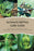 The Ultimate Reptile Care Guide: Responsible Ownership, Expert Enclosures, And Species-Specific Well-being