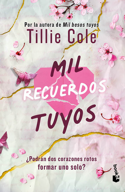 Mil Recuerdos Tuyos / A Thousand Broken Pieces