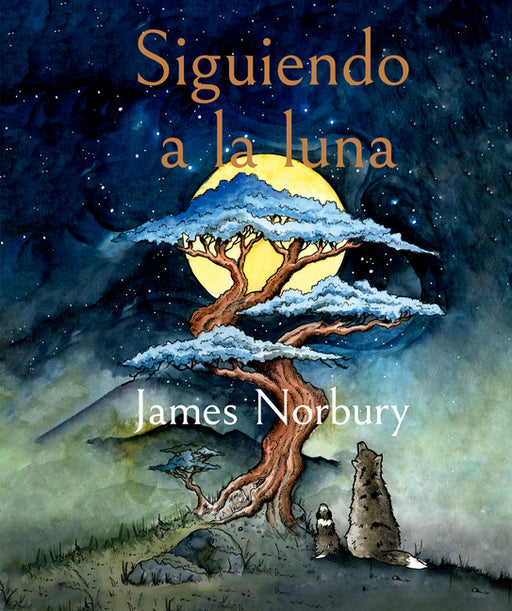 Siguiendo la Luna