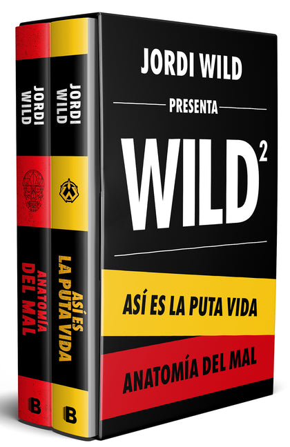 Cuando Todo Encaja. Apuntes Sobre Creatividad / When Everything Fits