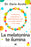 La Melatonina Te Ilumina / Melatonin: The Light of the Night
