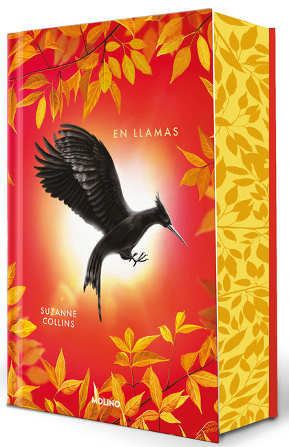 En Llamas (Edición Especial Cantos Pintados) / Catching Fire (Special Edition Sprayed Edges)